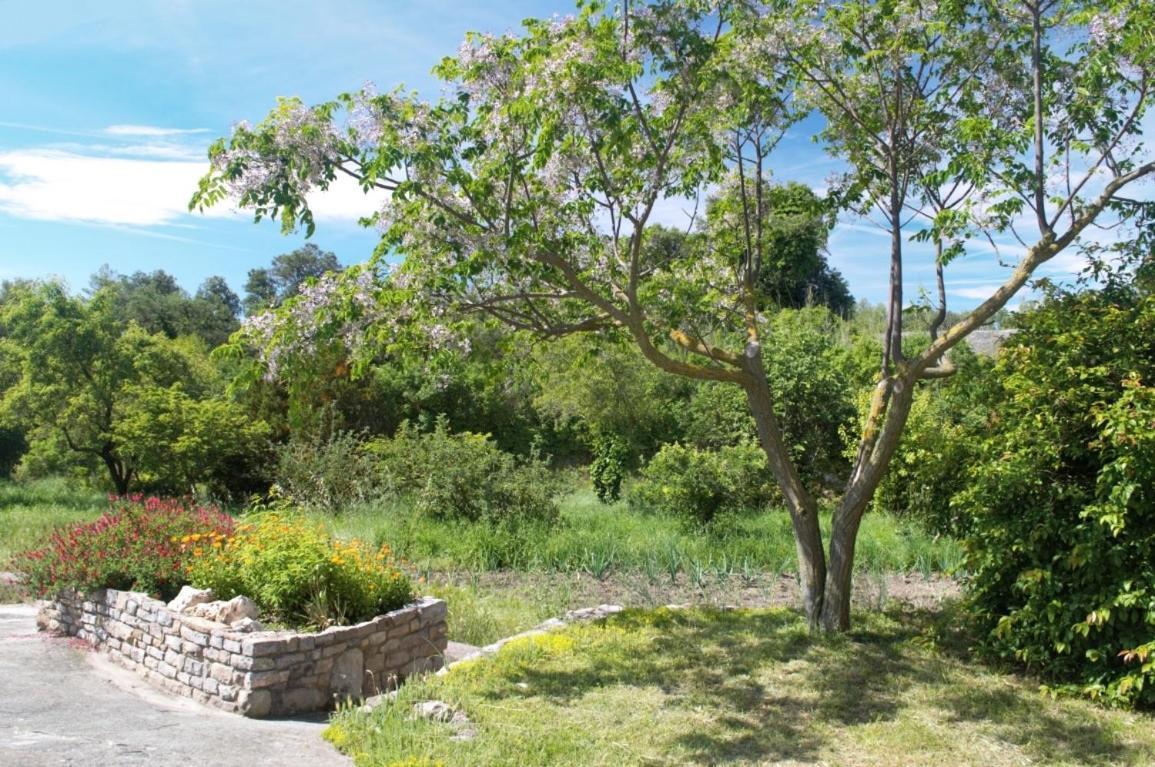 Holiday home Masoveria La Roca Sagas