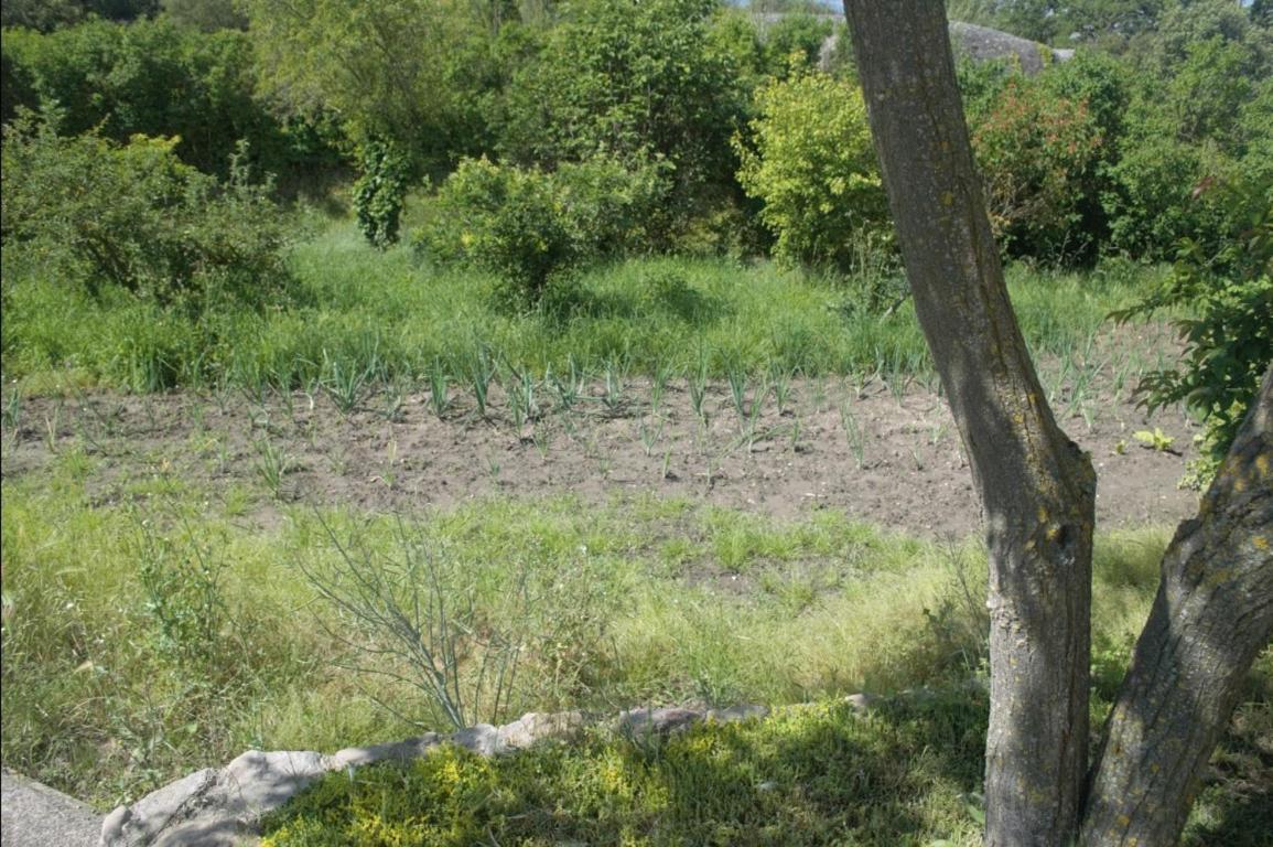 Masoveria La Roca * Sagas